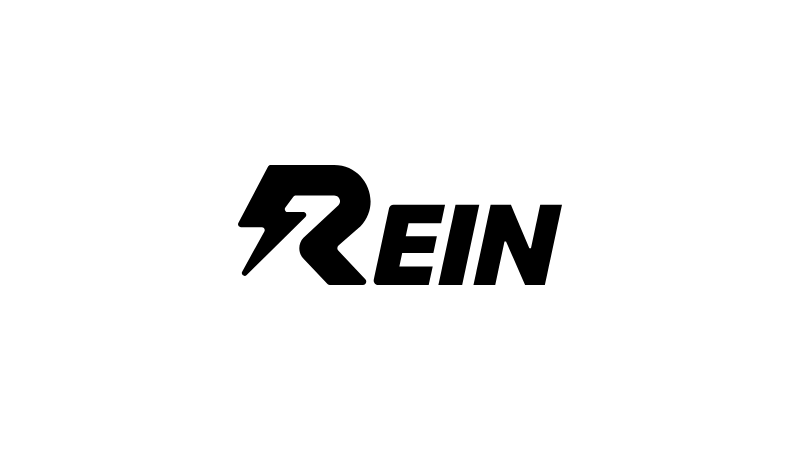 Rein Security logosu