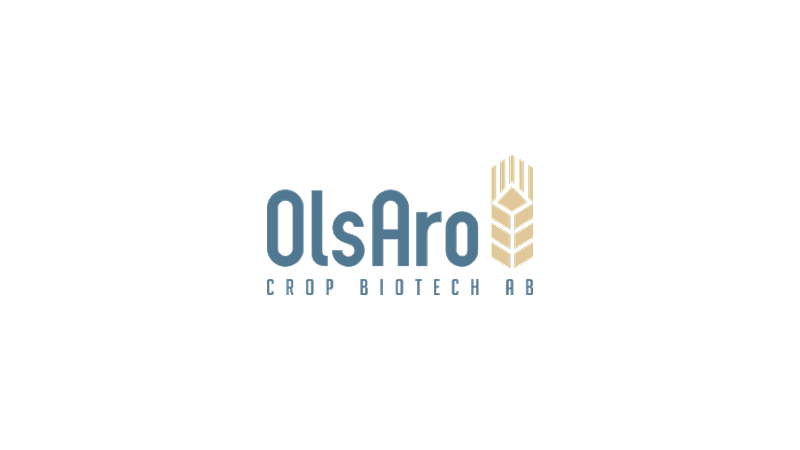 OlsAro logosu
